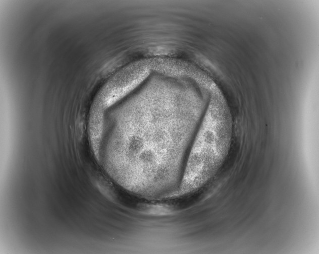 X0000085800741200704091448