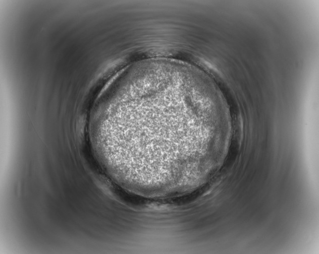 X0000085800742200704091448