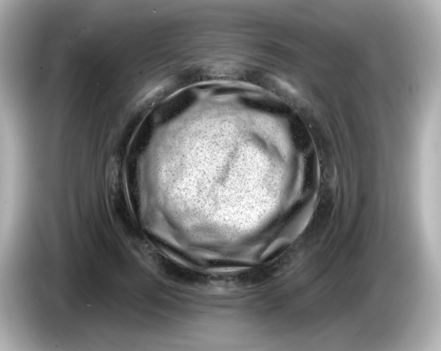 X0000085800744200704091448