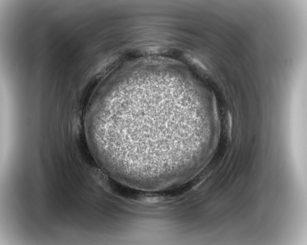 X0000085800746200704091448