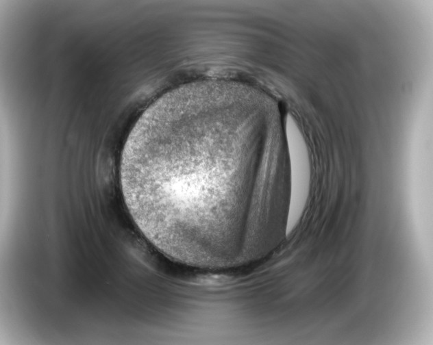 X0000085800748200704091448