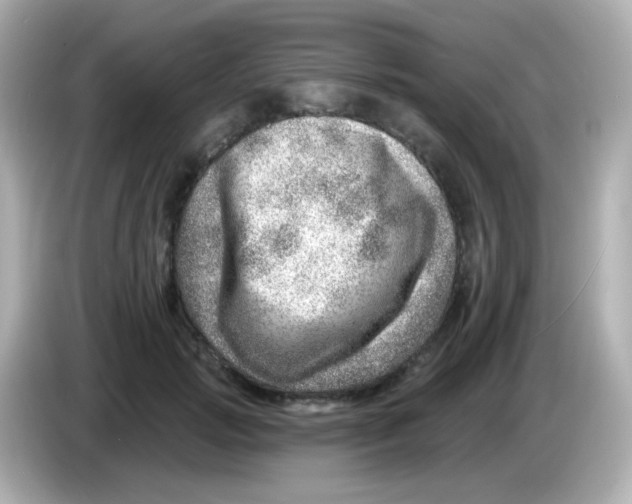 X0000085800749200704091448