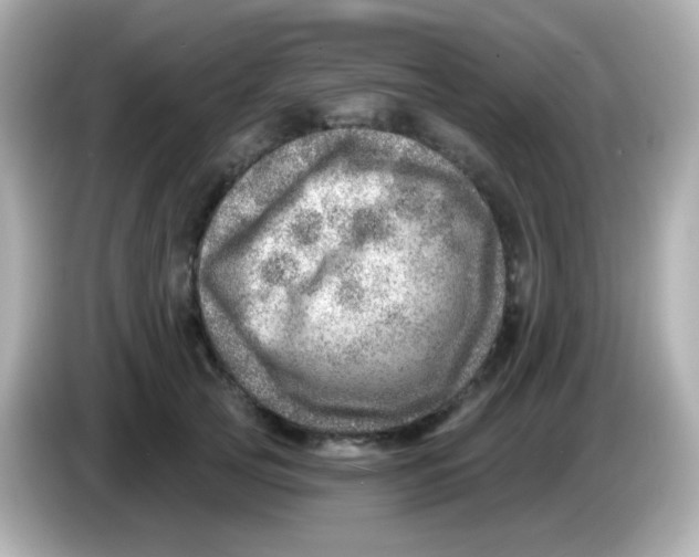 X0000085800753200704091448