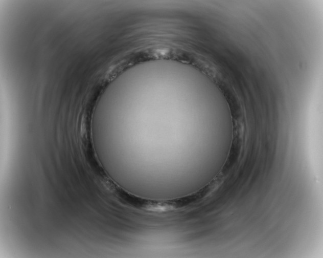 X0000085800754200704091448