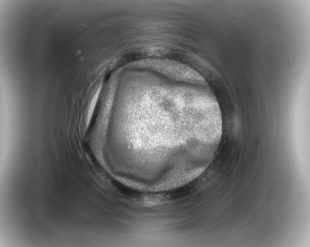 X0000085800757200704091448