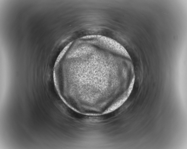 X0000085800758200704091448