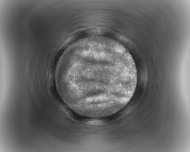 X0000085800759200704091448