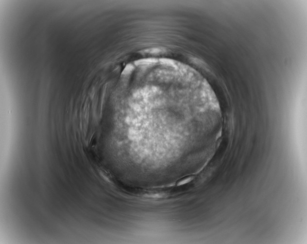 X0000085800760200704091448