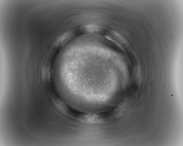 X0000085800762200704091448