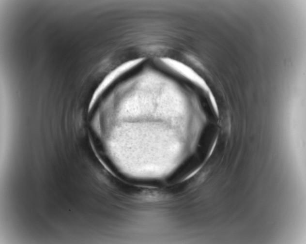 X0000085800764200704091448