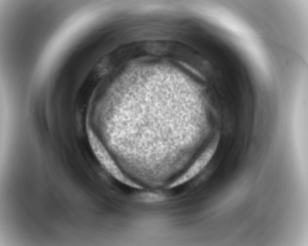 X0000085800765200704091448