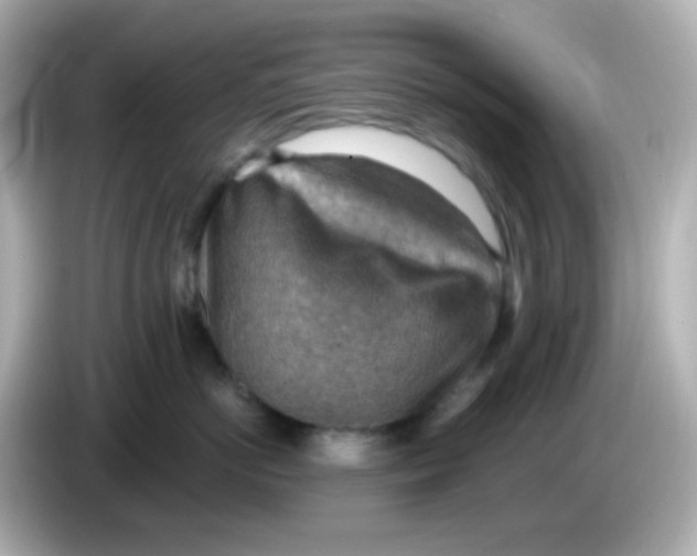 X0000085800766200704091448