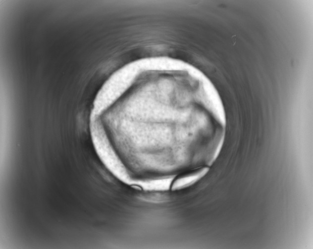 X0000085800768200704091448