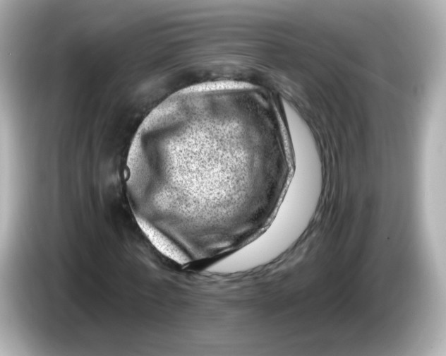 X0000085800771200704091448