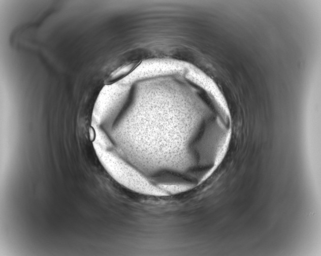 X0000085800772200704091448