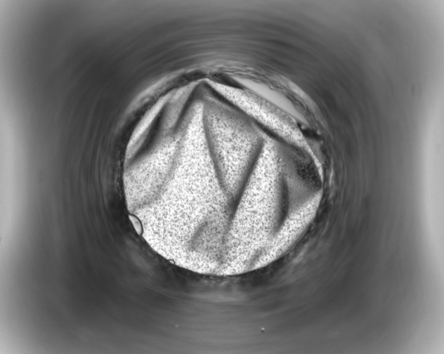 X0000085800775200704091448