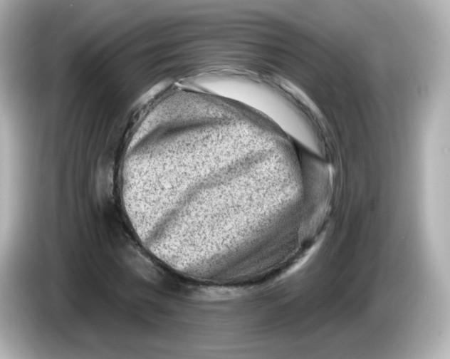 X0000085800777200704091448