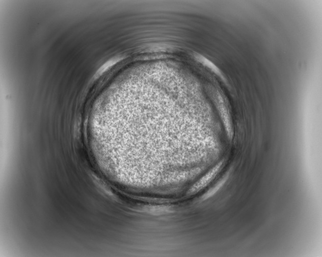 X0000085800778200704091448