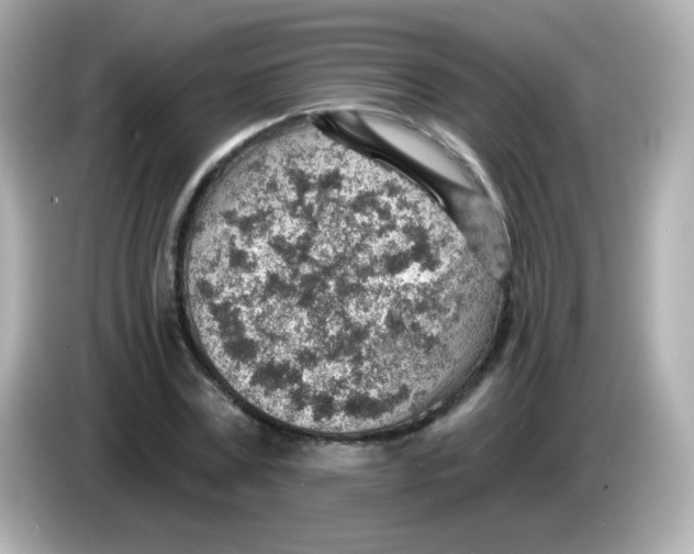 X0000085800779200704091448