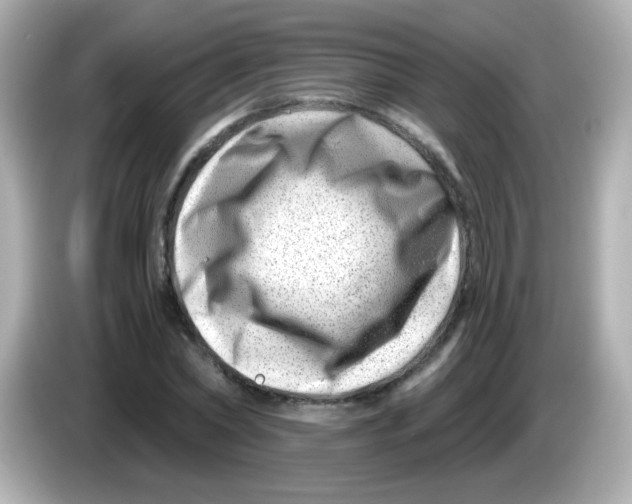 X0000085800782200704091448