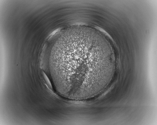 X0000085800785200704091448