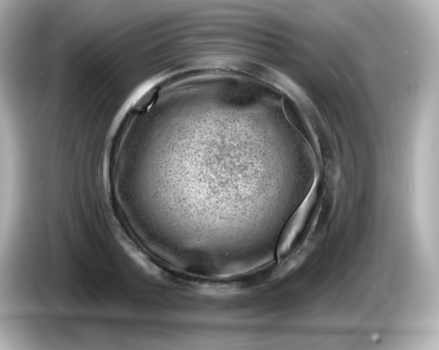 X0000085800788200704091448