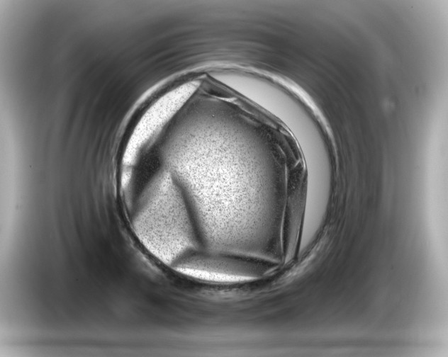 X0000085800791200704091448