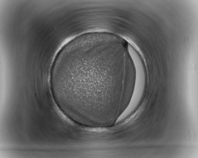 X0000085800797200704091448