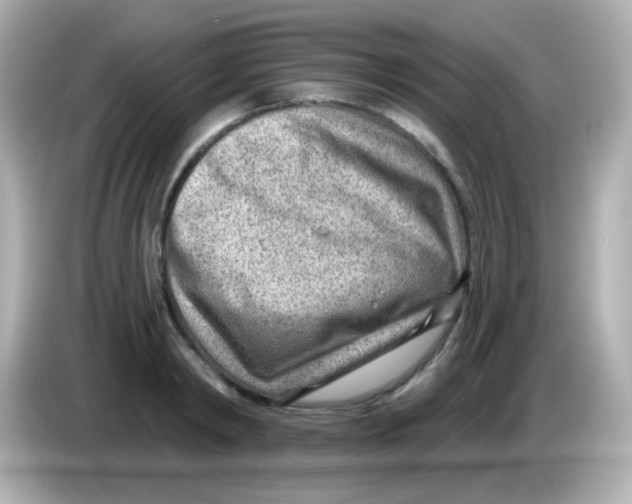 X0000085800798200704091448