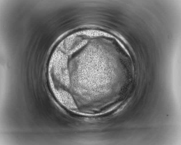 X0000085800799200704091448