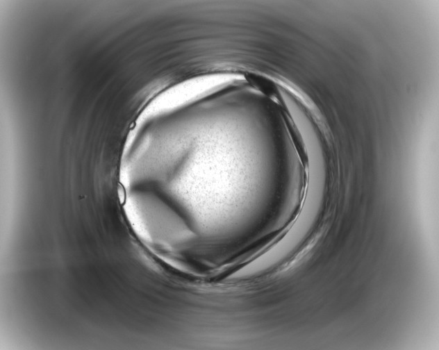 X0000085800801200704091448