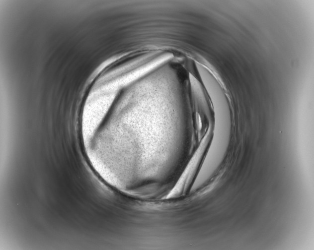 X0000085800803200704091448