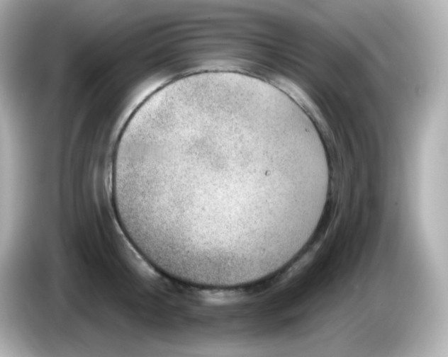 X0000085800804200704091448