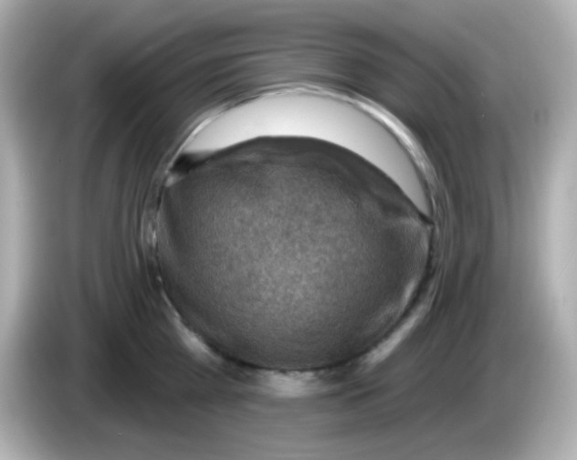 X0000085800809200704091447