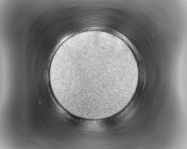 X0000085800810200704091447