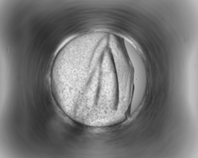 X0000085800814200704091447