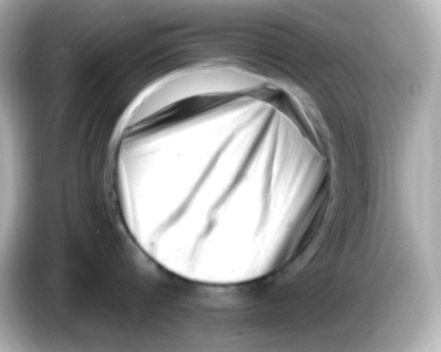 X0000085800816200704091447