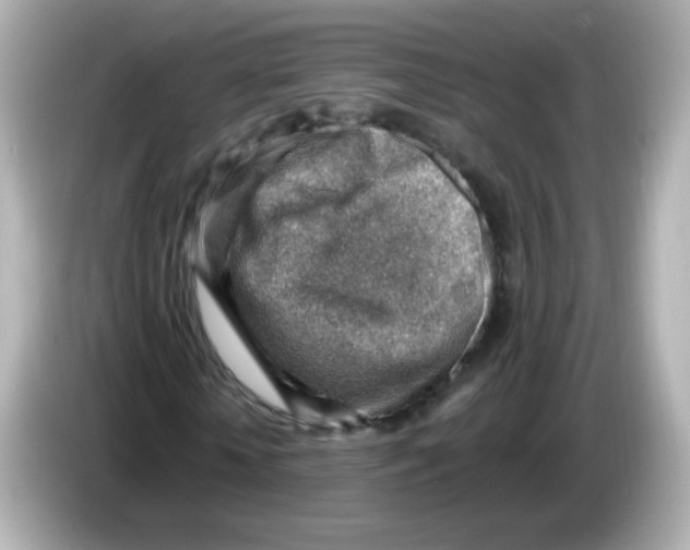 X0000085800818200704091447