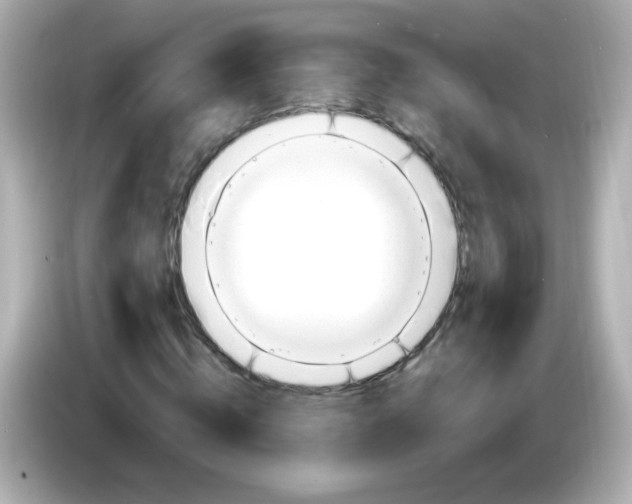 X0000085800820200704091447