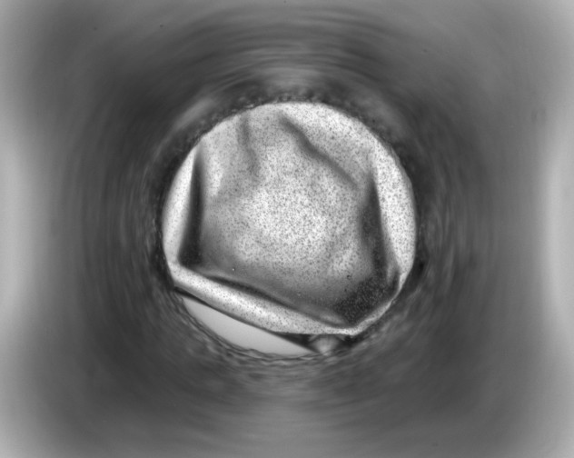 X0000085800821200704091447