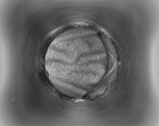 X0000085800822200704091447