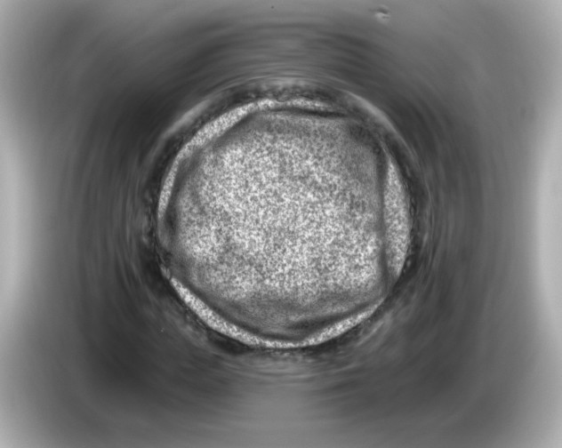 X0000085800823200704091447