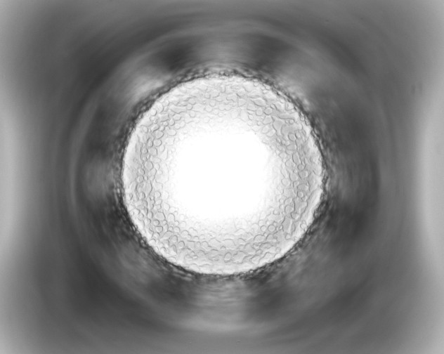 X0000085800824200704091447