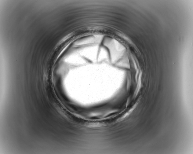 X0000085800826200704091447