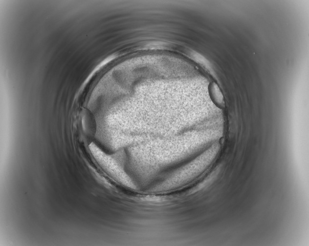 X0000085800827200704091447