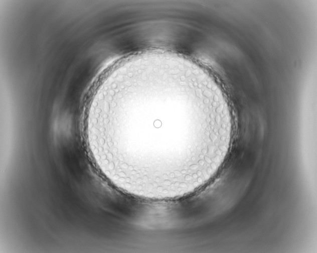 X0000085800828200704091447