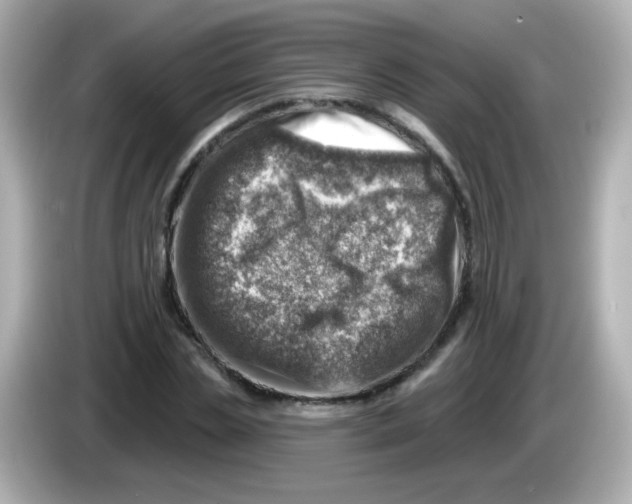 X0000085800829200704091447