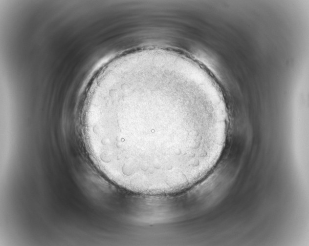 X0000085800832200704091447