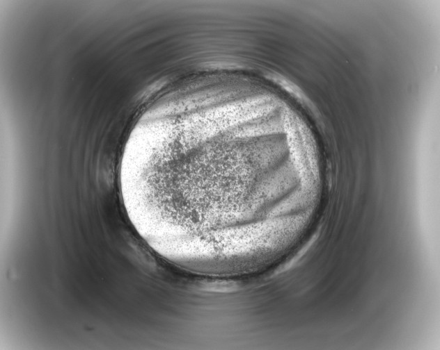 X0000085800833200704091447