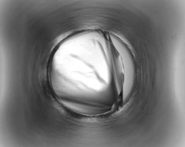 X0000085800834200704091447